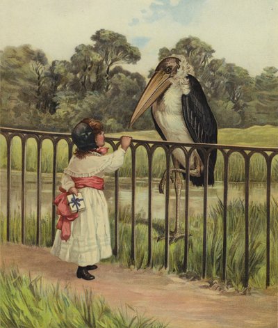 Une jeune fille demandant à un oiseau adjutant son nom - English School